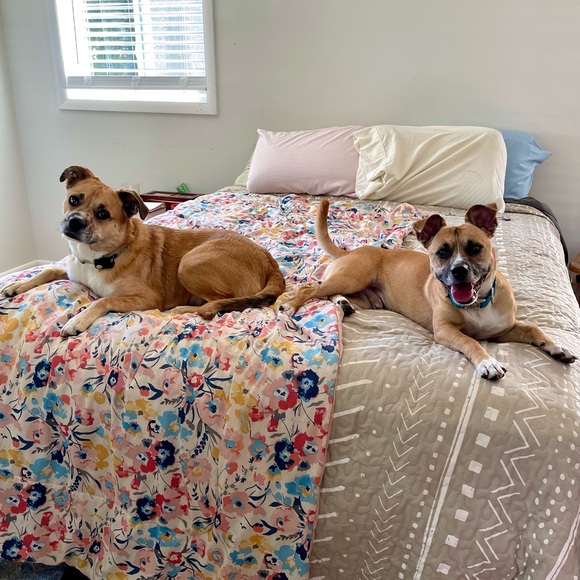 Meet your Posher, Emily - Picture 7 of 7